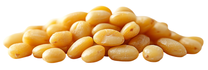 Pile of small light orange yellow seeds close up