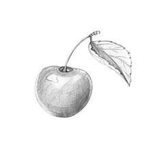 Simple graphite pencil drawing of single cherry berry with stem and leaf. Realistic botanical sketch is isolated on white background. Illustration for healthy food concepts, labels, and rustic design.