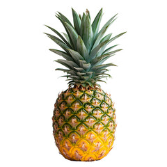 Fototapeta premium Pineapple fruit closeup tropical fresh produce