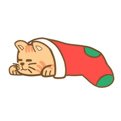 A cat sleeping in a Christmas stocking.