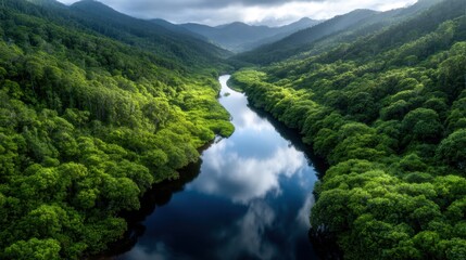 A stunning aerial view of a serene river winding through vibrant green forests, illuminated by soft sunlight, creating a peaceful and idyllic natural scene.