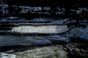 Delicate ice formations span across fallen branches, glistening under the sunlight. The surrounding forest creates a serene, natural backdrop.