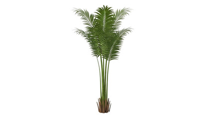 Green palm tree against a white background in a minimalist style.