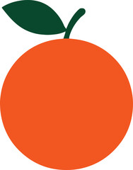 vector illustration of an orange