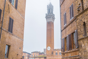Naklejka premium Torre del Mangia View