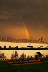 Fototapeta premium Arc en ciel