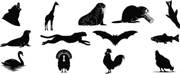Fototapeta premium Collection of animal silhouettes featuring various species