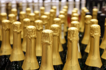 Champagne bottles in a row, selective focus. Liquor store, sparkling wine production concept