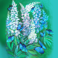 blue and white lupine flowers with butterfly