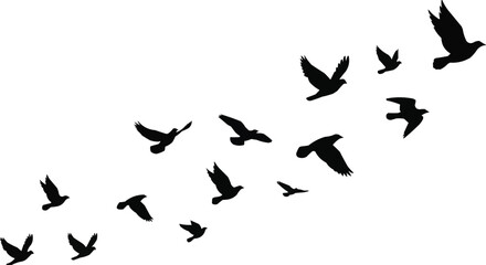 Flying Birds Silhouette Vector Set: Flock, Migration, Freedom