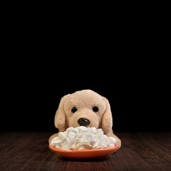 Pets overmedication concept