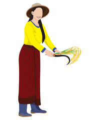 isolated woman farmer cartoon shape hervest rice vector design