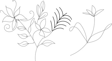 Elegant line art of various leaves and stems for design and decoration purposes easily