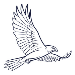 Minimalistic line art of a falcon in elegant flight, showcasing its majestic wings and sharp focus, isolated on a clean white background