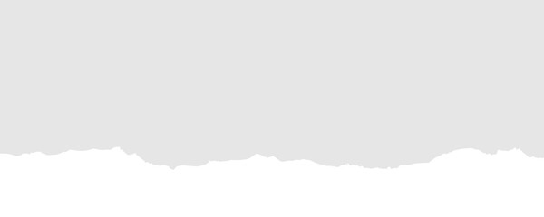 Torn white paper with shadow. Isolated png