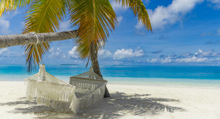 Fantastic summer beach scene featuring palm tree swing hammock, complete tranquility relaxation inspiration, warm vacation background showcasing beautiful sea sand sky sunshine closeup serene tropical