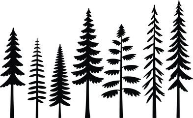 Black and white row of tall pine trees in a forest © subod