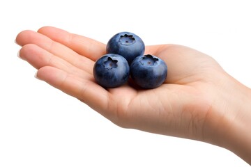 hand holding blueberries in palm on a white background 