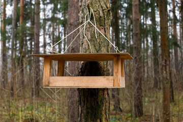 Wooden bird feeder attached to the trunk of a pine tree in the forest.