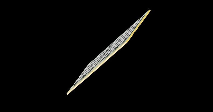 DDR 5 memory module computer RAM rotation animation seamlessly loopable. 3D rendering isolated on transparent background