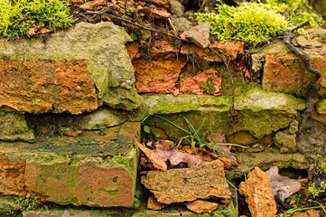 Damaged, abandoned brick and stone wall, partially covered with intensely green moss, grass, and fallen leaves. Natural erosion, organic detail.