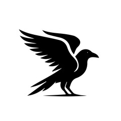 Obraz premium crow on a white background