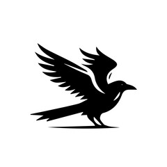 Obraz premium crow on a white background