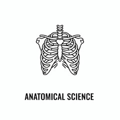 Fototapeta premium Stylized black and white line art illustration of a human rib cage and spine with anatomical science text