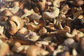 Castanhas torradas, produção familiar de castanha do caju em fazenda brasileira 