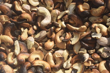 Fundo cheio de castanhas de caju assadas