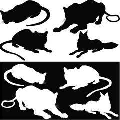 animals two collections isolated on white and black background