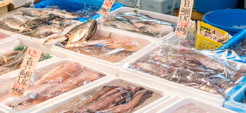 水産市場に並ぶ鮮魚の販売陳列風景