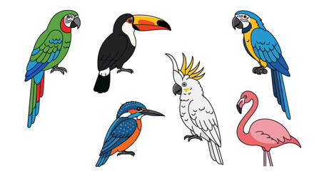 Fototapeta premium A vibrant collection of six colorful tropical birds.