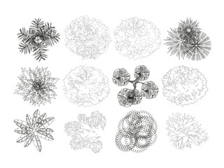 Vector view of trees in hand-drawn top view, isolated on a white background,  Potted flowers colorful icons for landscape, architectural, interior design.  © skilleddesigner90