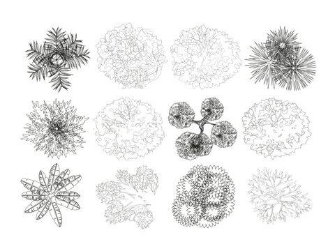 Vector view of trees in hand-drawn top view, isolated on a white background,  Potted flowers colorful icons for landscape, architectural, interior design. 