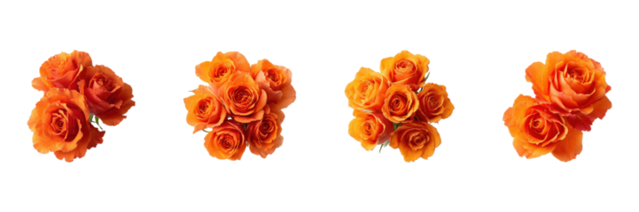 Orange Rose Bouquet Set. Vibrant Floral Arrangement Collection Isolated On Transparent Background