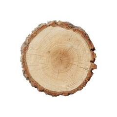 Fototapeta premium Cross-Section Of Tree Trunk Showing Growth Rings. Natural History And Environmental Study. Isolated On Transparent Background