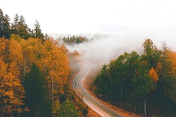 Minimalist autumn landscape with road disappearing into misty forest