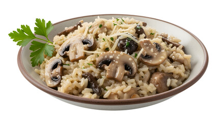 Mushroom Risotto in Brown Ceramic Bowl Isolated on transparent background