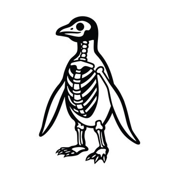 penguin skeleton 