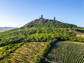 Obraz premium Hazmburk castle ruins rise majestically from a green hillside in Czechia's Central Bohemian Uplands. This aerial view captures the medieval structure surrounded by vineyards and nature.