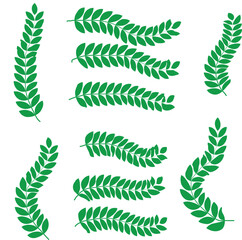 Laurel wreath vector set.
