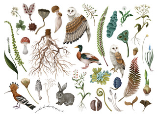 Rewild organic owl vector with earthy moss root elements in raw isolated nature