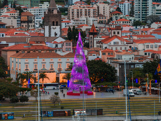 A purple lit Christmas tree stands in a waterfront square in Funchal, Madeira, with Se Cathedral tower, whitewashed roofs, palm trees, and winter dusk lights. © Aerial Film Studio