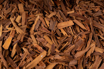 Broken ceylon cinnamon macro texture, cinnamomum verum bark pieces pattern