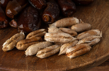 Date seeds and date stones with macro texture