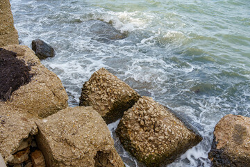 artificial breakwater elements on the promenade waterfront, Brindisi, Italy