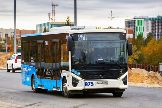 PAZ-422320-04 Citymax 9