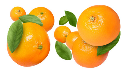 Fresh juicy tangerines flying in air on white background