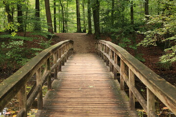 Obraz premium Holzbrücke über den Steinfurter Bagnosee 